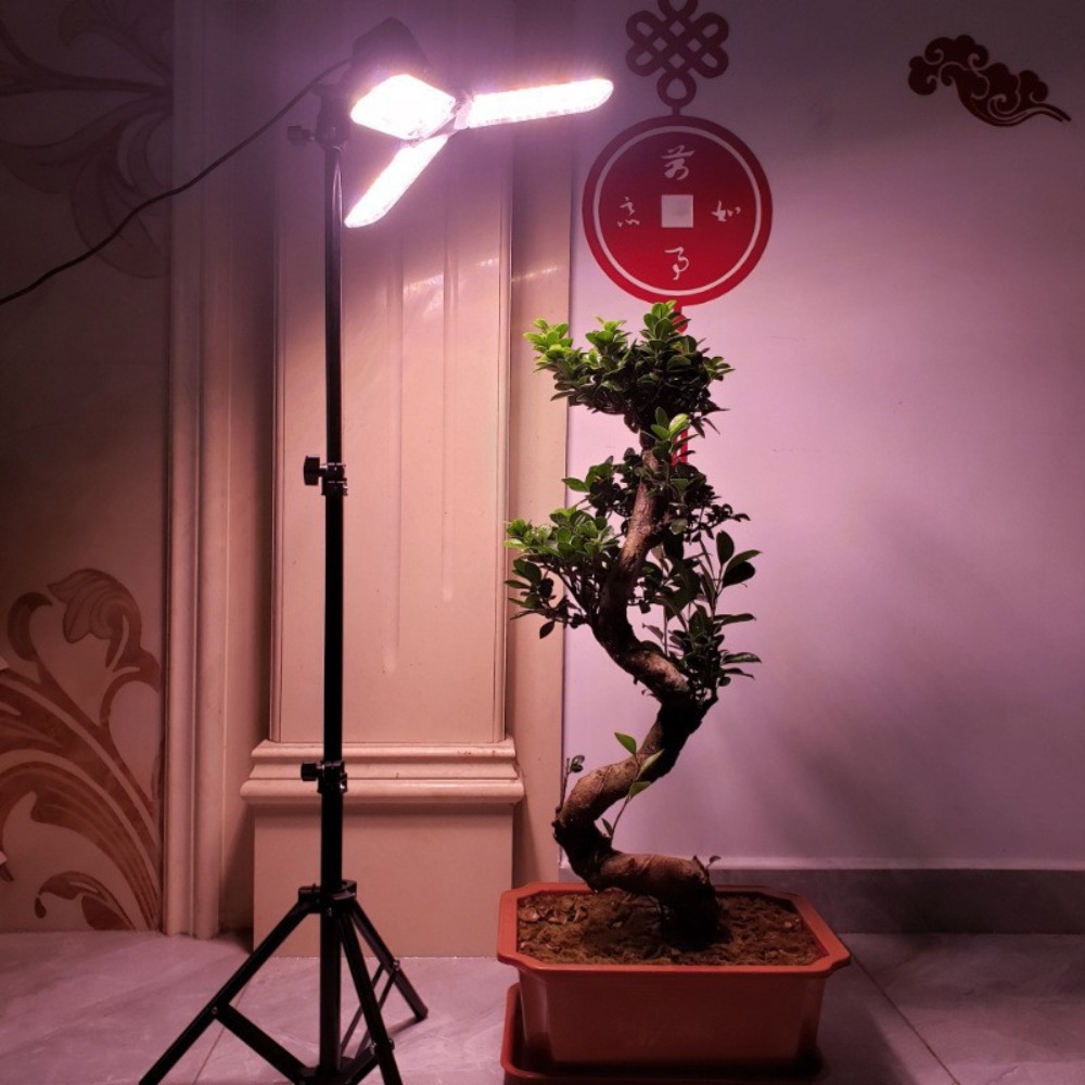 Glühbirnenständer 2M, E27 AC-S – Photography Umbrella Bewertung und Preis